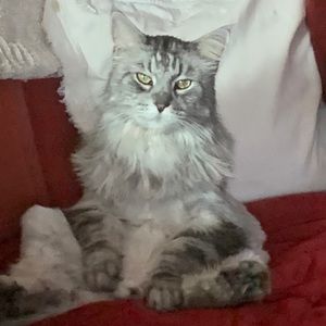 Meet your Posher, Gail